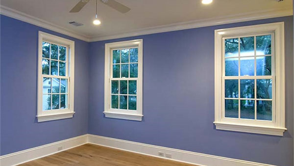 Surprise Single Hung Windows